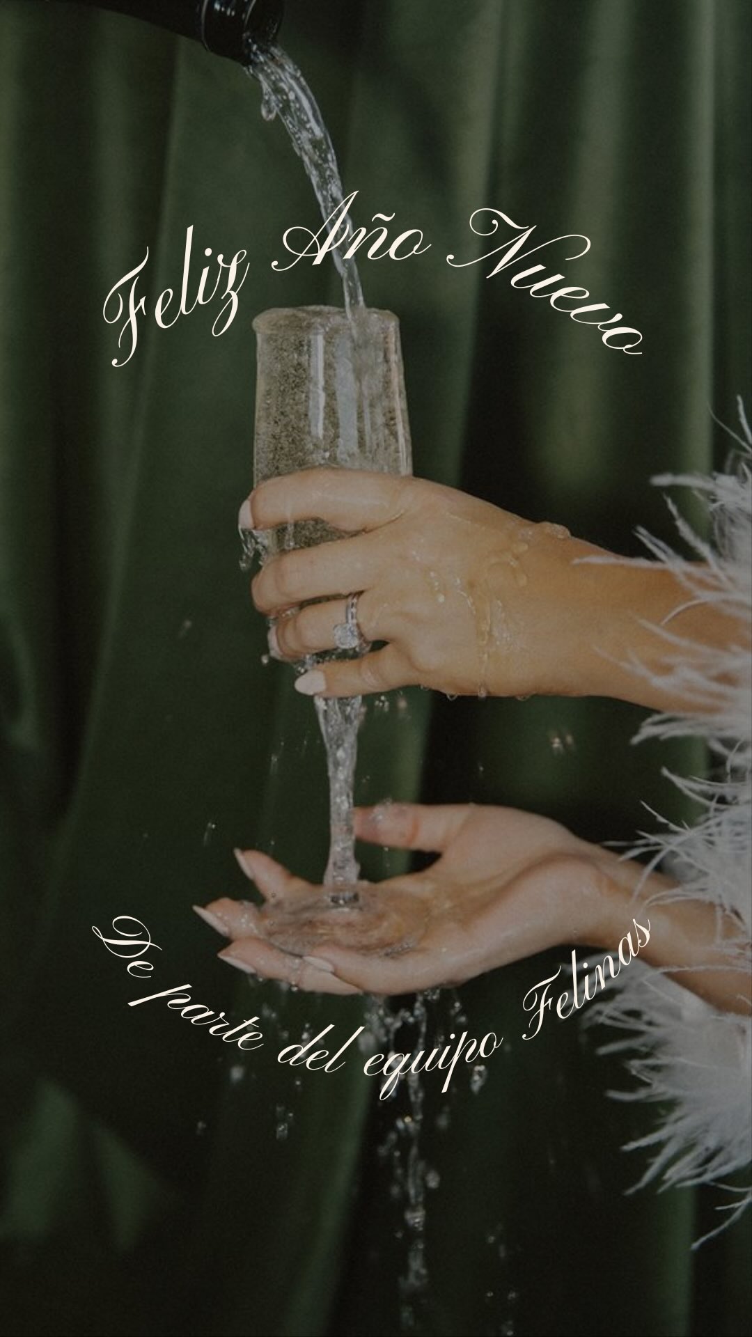 Empezamos un nuevo año con las mismas ganas de siempre: cuidar de vosotras, de cada detalle y de cada momento en el que os elegís 💚

Gracias por seguir confiando en nosotras. Este brindis es por lo que se viene en 2026 🥂

Feliz Año Nuevo Felinas 🐅🎊