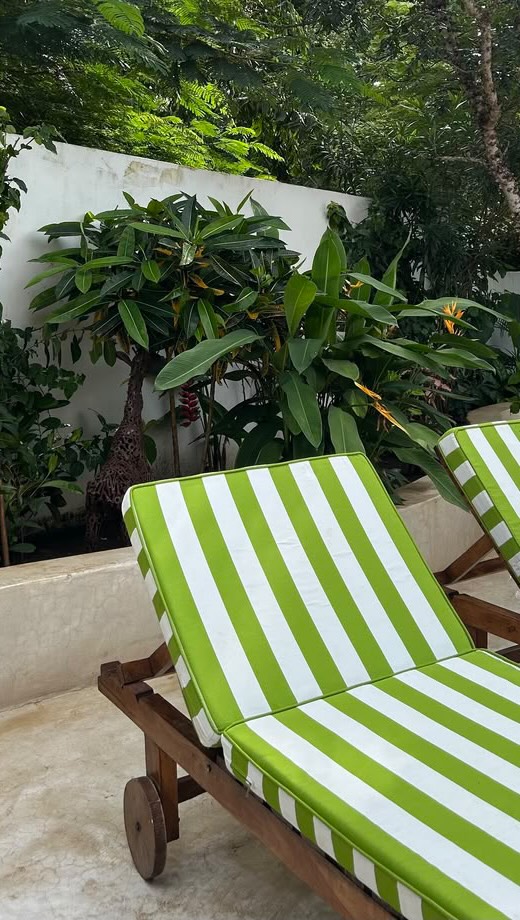 ¿Te piensas que lo peor del verano es la sal, el cloro o el agua? 

No, lo peor es hacerte las uñas con herramientas que no están correctamente esterilizadas 💅🏼

En Felinas lo hacemos como debe ser: herramientas esterilizadas y cada paquete correctamente indicado🫧✨

Porque unas uñas bonitas importan, pero tu seguridad más