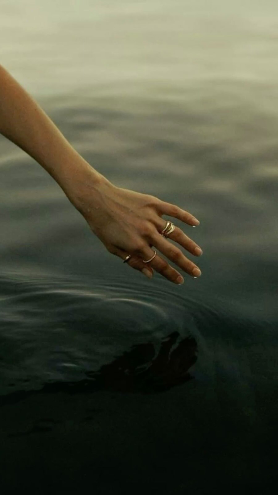 Ojalá fuese solo una historia de Halloween, pero todo esto pasa más de lo que creéis 🤯

Esterilizar, desinfectar y no usar torno para retirar una manicura semipermanente es todo lo que está bien ✨

Si no quieres tener pesadillas por las noches, ven a Felinas y soñarás con lo bonitas y sanas que tienes las uñas!

.

#Felinas #EntreFelinas #DejaHuella #EstiloconAlma #playadesanjuan #manicura #pedicura #uñas #manicuraalicante #nailart #nails #alicante