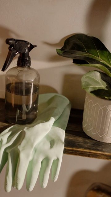 Detrás de uñas bonitas hay mucho cuidado 🫧
Así es nuestro proceso de esterilización para cada herramienta que utilizamos en vuestras manicuras y pedicuras.
Porque cuidarte también es trabajar con responsabilidad y cariño 💚